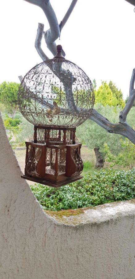 Karavómilos Country House By The Sea !!!ヴィラ エクステリア 写真